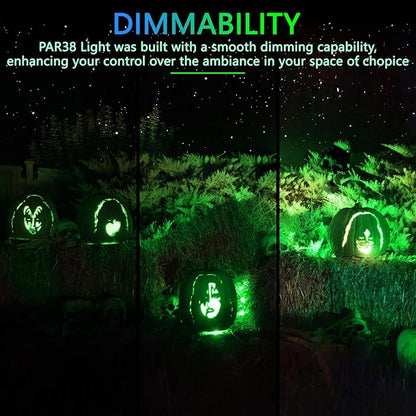 PAR38 Flood Lights Outdoor,Dimmable LED Flood Light Bulbs,20W(Equivalent to 200W),E26 Base,Outdoor Porch,Holiday Lighting,LED Flood Light Bulb for Halloween,Christmas,4 Pack Green