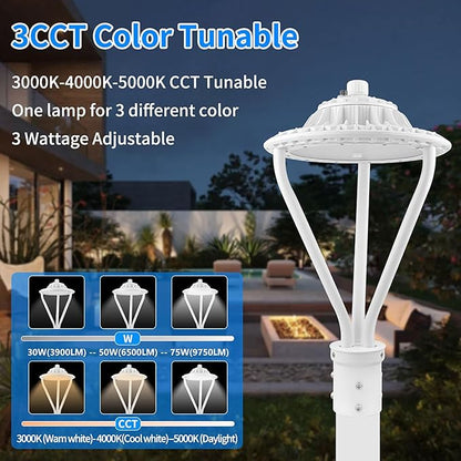 LED Post Top Light 30/50/75W Adjustable 9750 LM 3000/4000/5000K LED Circular Area Light Outdoor Pole Lights with Photocell, IP67 Parking Lot Lights Fixture Commercial Lighting, 100-277V ETL&DLC Listed
