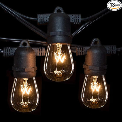 Hometown Evolution, Inc. Commercial E26 String Lights with 16 Gauge Wire (24 Foot 12 Socket, S14 11 Watt Clear Bulbs)