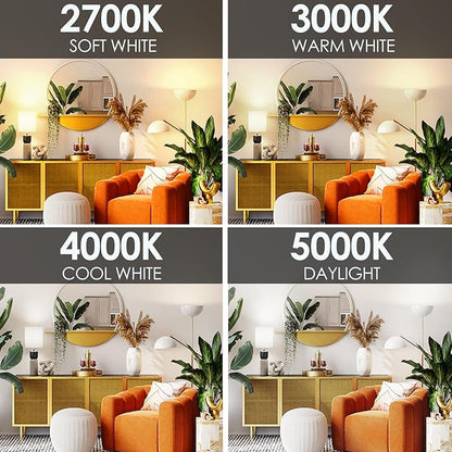 E ENERGETIC LIGHTING Dimmable LED Light Bulbs, 60W Equivalent, Cool White 4000K, 8W 800 Lumens LED Bulbs, E26 Base Standard Light Bulbs, ETL Listed, 12 Packs