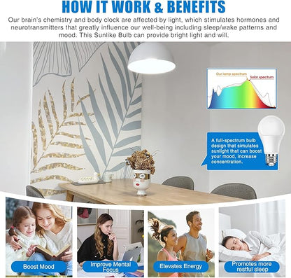 Neporal Full Spectrum Light Bulb, 6000K Natural Sunlight Bulbs, Cool White, 9W 60W Equivalent A19, E26/E27 LED Light Bulbs for Study Office Bedroom Living Room, Pack of 3