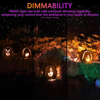 PAR38 Flood Lights Outdoor,Dimmable LED Flood Light Bulbs,20W(Equivalent to 200W),E26 Base,Outdoor Porch,Holiday Lighting,LED Flood Light Bulb for Halloween,Christmas,2 Pack Purple
