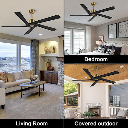 WINGBO 64 Inch DC Ceiling Fan without Lights, 5 Reversible Carved Solid Wood Blades, 6-Speed Noiseless DC Motor, Ceiling Fan No Light with Remote, Brass Finish with Black Blades, ETL Listed