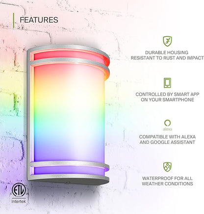 ASD 10 Inch Smart RGBW LED Outdoor & Indoor Wall Mount Light Fixture - Nickel RGB Wall Sconce Exterior Lighting - 120-277V 15W 2700-6500K Dimmable, Remote Control, Alexa - Front Door & Patio ETL