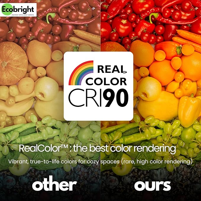 EcoBright 12PK Dimmable A19 LED Filament Bulb 40W Equivalent 5W E26 Base 450 Lumens CRI90 Flicker Free Clear Glass Energy Star Daylight 5000K for Lamps Ceiling Fixtures and Indoor Lighting
