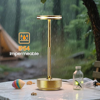 Hapfish 2 Pack Cordless Table Lamps Rechargeable, 5000mAh Battery Powered Lamp, 3 Color Modes, Dimmable, LED Table Lamps for Living Room,Outdoor, Dinner,Patio,Restaurant – Bronze