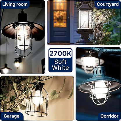 FLSNT 100W Equivalent LED Edison Bulbs, 5000K Daylight, 12W Dimmable A21 LED Light Bulbs, 1600LM, CRI90, E26 Base, 8 Pack