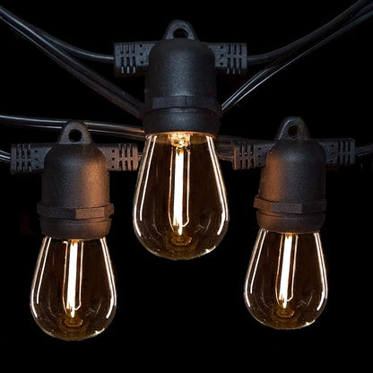 Hometown Evolution, Inc. 100' E26 Commercial LED Outdoor String Lights (100 Foot 50 Socket, S14 LED Filament 1 Watt Light Bulbs)