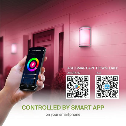 ASD 10 Inch Smart RGBW LED Outdoor & Indoor Wall Mount Light Fixture - Nickel RGB Wall Sconce Exterior Lighting - 120-277V 15W 2700-6500K Dimmable, Remote Control, Alexa - Front Door & Patio ETL