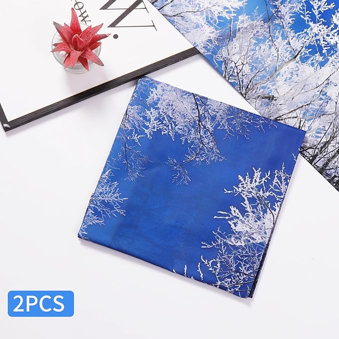2pcs Fluorescent Light Covers - Light Covers for Ceiling Lights Classroom, Magnetic Light Filters for Office, Hospitals, Home 4 x 2 Feet (winter)