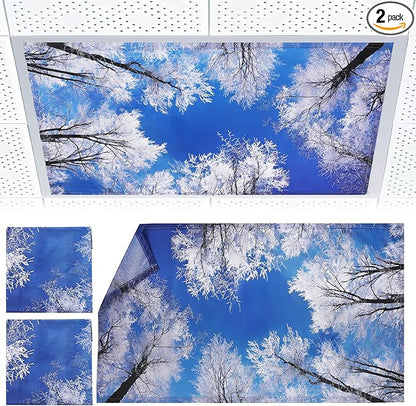 2pcs Fluorescent Light Covers - Light Covers for Ceiling Lights Classroom, Magnetic Light Filters for Office, Hospitals, Home 4 x 2 Feet (winter)