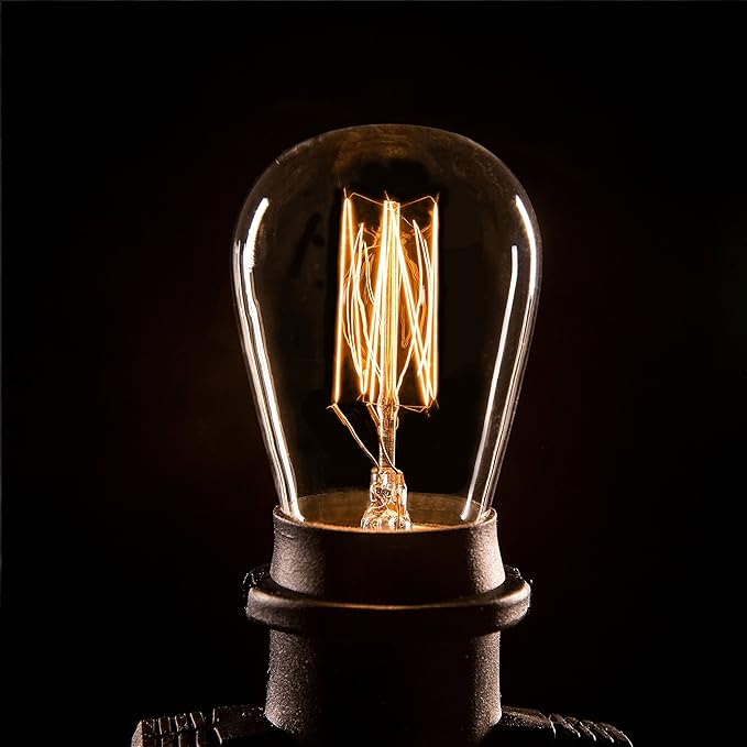 Hometown Evolution, Inc. Box of 25 S14 Lantern Edison 11 Watt Commercial E26 Base Replacement Bulbs
