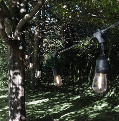 Hometown Evolution, Inc. 24 Foot E26 LED Outdoor Commercial String Lights with 12 Suspended Sockets and S14 LED Filament 1 Watt Bulbs